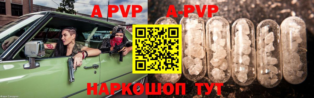 Alfa_PVP СК Тимашёвск