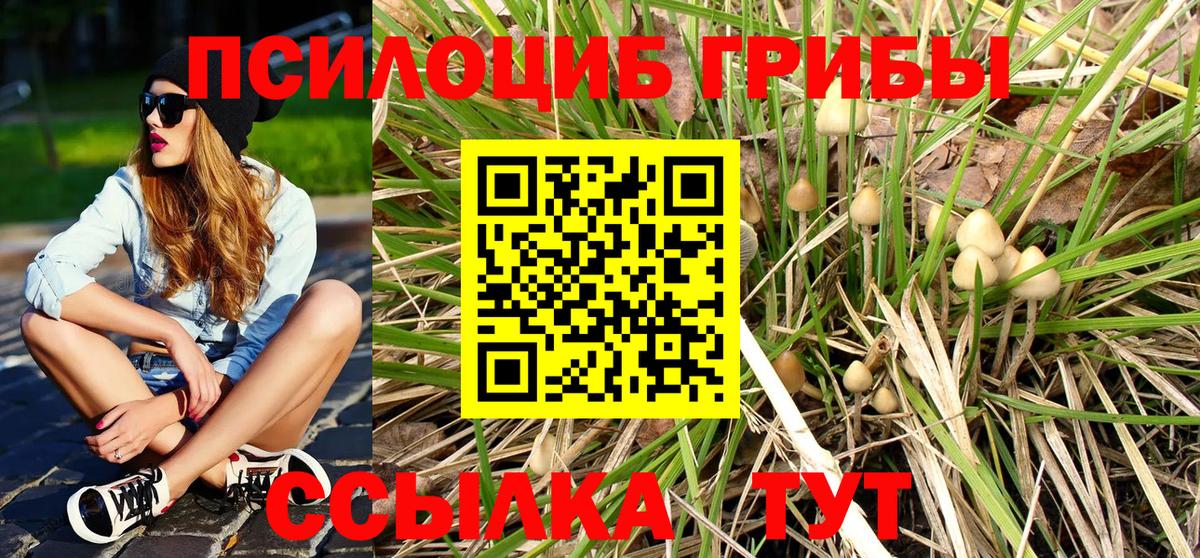 Галлюциногенные грибы прущие грибы Тимашёвск